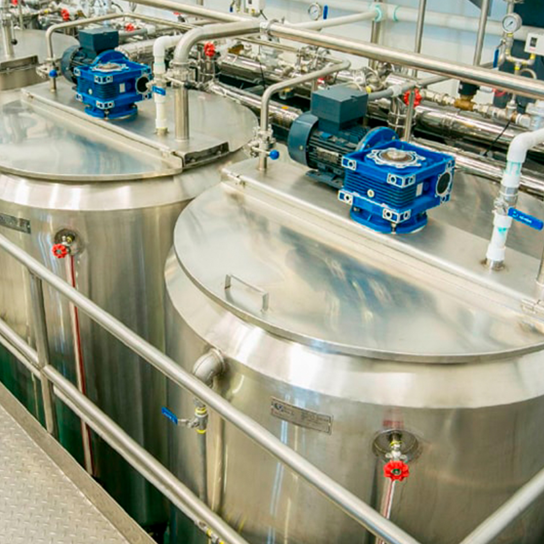 Veterinary at the farm walking in cowshed checking the cows